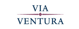 VIAVENTURA_LOGO